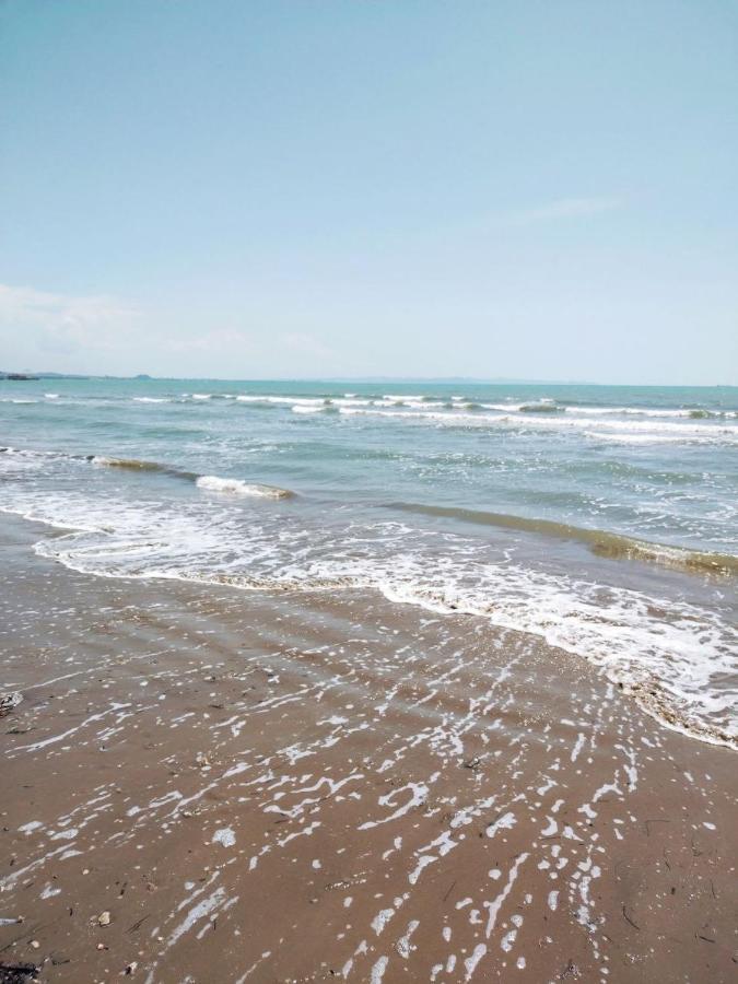 Apartment Sea View